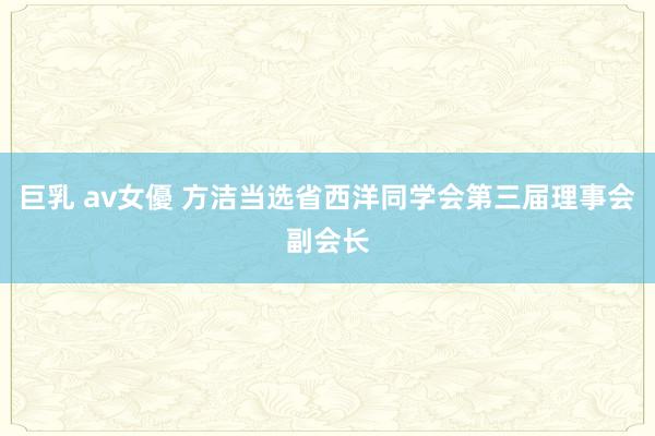 巨乳 av女優 方洁当选省西洋同学会第三届理事会副会长